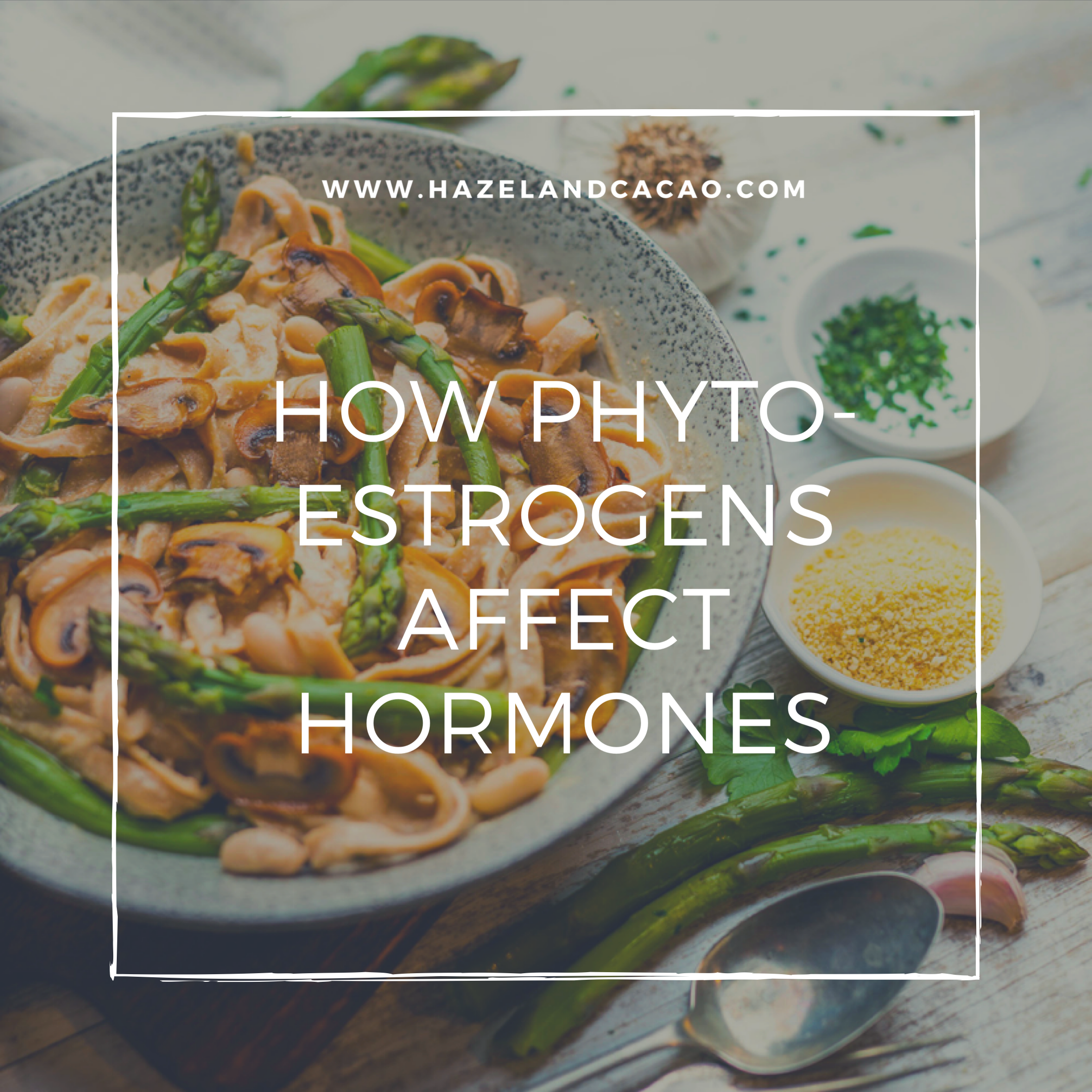 How Phytoestrogens Affect Women’s Hormones