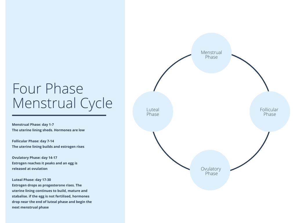 women hormone cycle