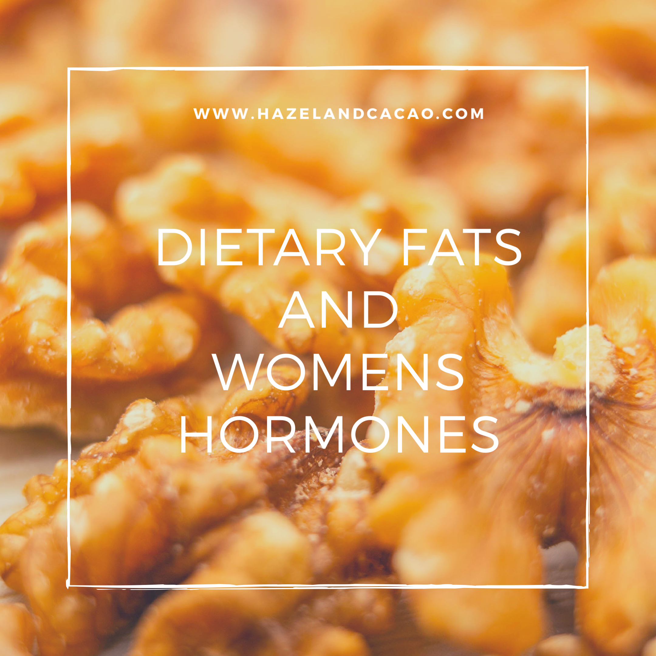 Dietary Fat Consumption and Women’s Hormones