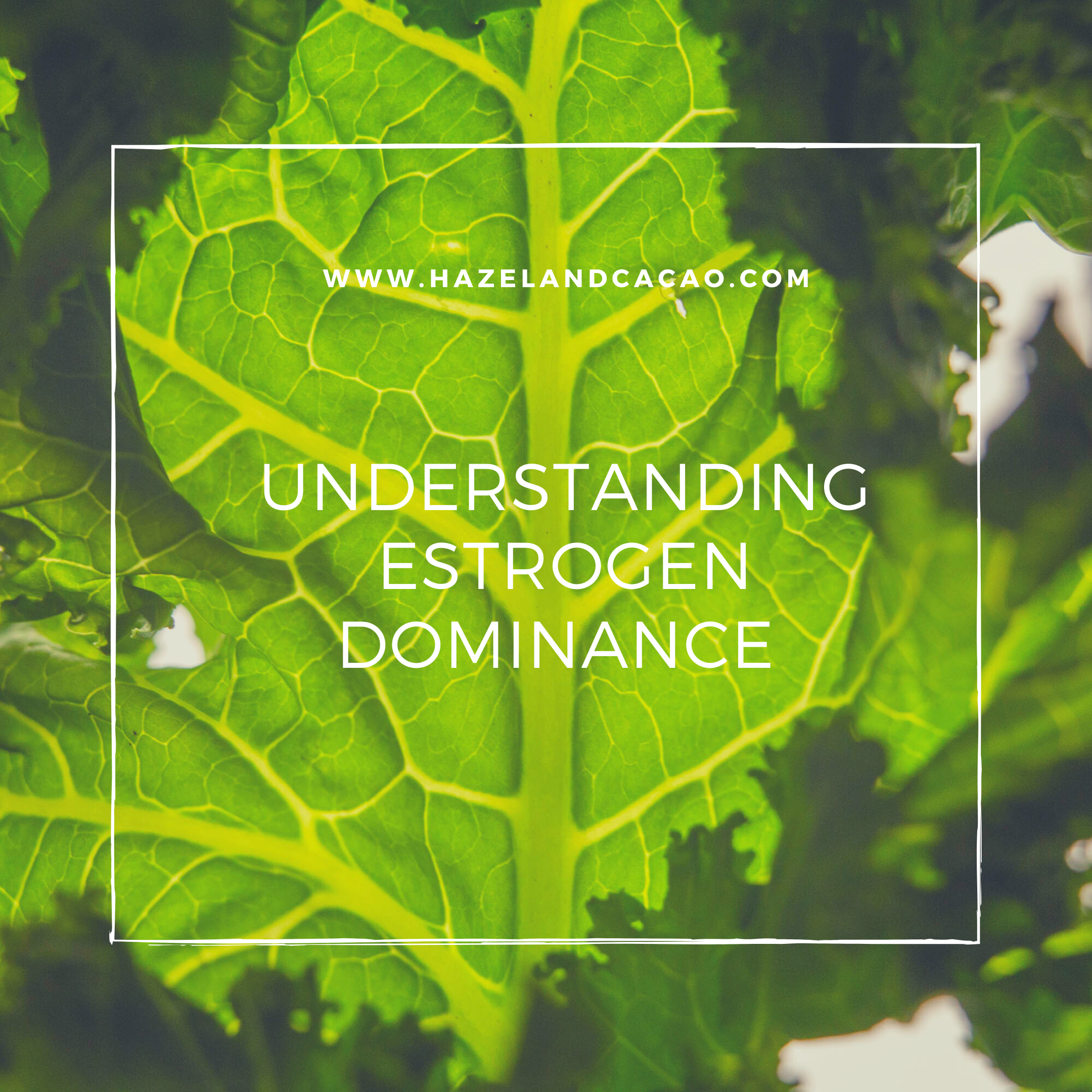 Understanding Estrogen Dominance