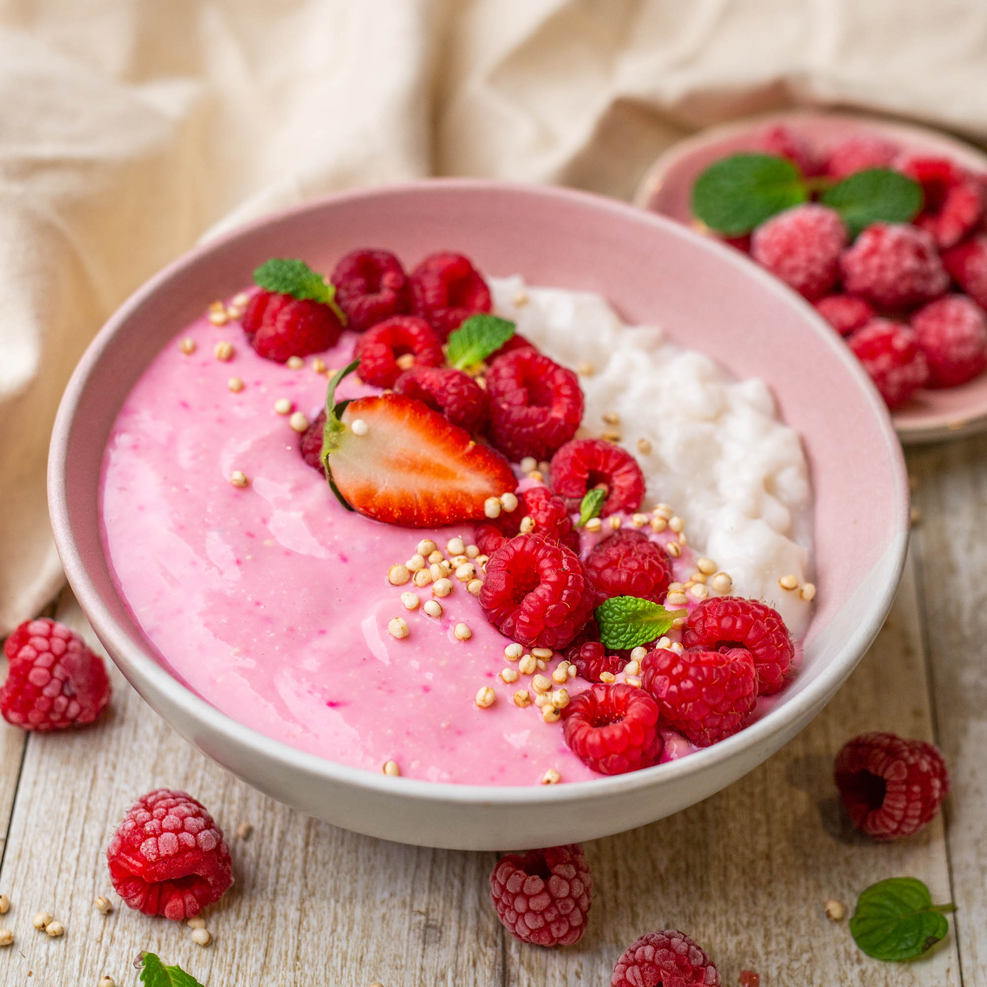 Raspberry Smoothie Rice Pudding Breakfast Bowls with Fancy Plants Vanilla Pud